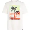 O'Neill Jack Neon Kortarmet T-skjorte