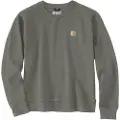 Carhartt Ts6179 Collegegenser