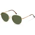 Rodenstock R1447 Pantos Solbriller