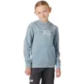 Helly Hansen Graphic Jr Hettegenser