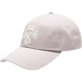 Billabong Dad Caps