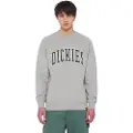 Dickies Aitkin Collegegenser