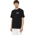 Dickies Aitkin Chest Kortarmet T-skjorte