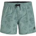 O'Neill Mix & Match Cali Print 15'' Boardshorts grønn