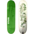 Plan B Bloom Mcclung 8.0´´x31.33´´ Skateboarddekk