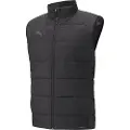 Puma Teamliga Vest