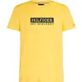 Tommy Hilfiger Colour To Colour Kortarmet T-skjorte