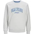 Jack & Jones Detroit Collegegenser