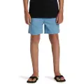 Quiksilver Taxer Shorts