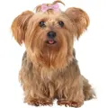 Trixie 10 Dog Hair Bows Assorted Colours