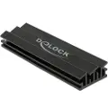 DeLOCK - Heatsink for solid state disk - svart