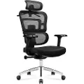 Adler Kontorlenestol Mark Adler Expert 4.9 Sort