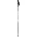 Dynafit Alpine Pro Spaserstokker