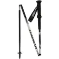 Dynafit Alpine Pro Spaserstokker