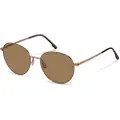 Rodenstock R1447 Pantos Solbriller
