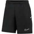 Nike Dri-fit Academy 25 Shorts