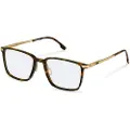 Rodenstock R7162 Square Briller
