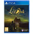Sony Ps4 The Last Door Complete Edition