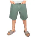 Iriedaily Nanolo Shorts grønn
