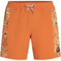O'Neill O'Riginals Side Panel 16" Boardshorts oransj
