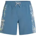 O'Neill O'Riginals Side Panel 16" Boardshorts blå