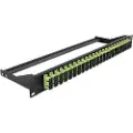 DeLOCK - Koblingspanel - rackmonterbar - SC Duplex MM X 24 - svart, limegrønn - 1U - 19
