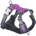 Red Dingo Padded Hundesele