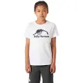 Helly Hansen Graphic Jr Kortarmet T-skjorte