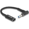 DeLOCK - power adapter - USB-C female to DC jack (HP) male - 15 cm