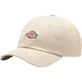Dickies Hardwick Caps brun