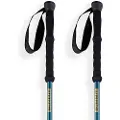 Arva Fuji 3 Parts Powerlock + Long Grip Spaserstokker