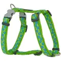Red Dingo Style Star Hundesele