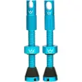Chris King Peaty´s Tubeless Ventiler