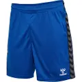 Hummel Authentic Pl Shorts
