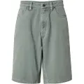 Iriedaily Nanolo Shorts grønn