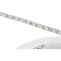 Synergy 21 LED Flex Strip 60 RGB DC24V RGBW ein Chip cw IP68