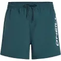 O'Neill Cali 16'' Boardshorts blå