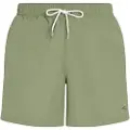 O'Neill Vert 16'' Boardshorts grønn