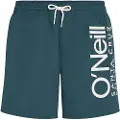 O'Neill Original Cali 16'' Boardshorts blå