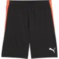 Puma Liga Shorts
