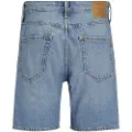 Jack & Jones Chris Cooper Sbd 920 Korte Jeans
