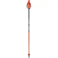 Fischer Rd Sl Junior Staver