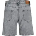 Jack & Jones Chris Cooper Sbd 020 Korte Jeans