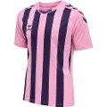 Hummel Core Xk Striped Kortarmet T-skjorte