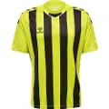 Hummel Core Xk Striped Kortarmet T-skjorte