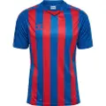 Hummel Core Xk Striped Kortarmet T-skjorte