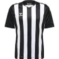 Hummel Hmlcore Xk Striped Kortarmet T-skjorte