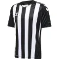 Hummel Hmlcore Xk Striped Kortarmet T-skjorte