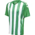 Hummel Core Xk Striped Kortarmet T-skjorte