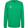 Hummel Authentic Co Training Collegegenser
